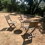 Hirondelles 35 *