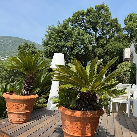Hirondelles 35 * Cavalaire-sur-Mer
