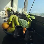 Hirondelles 35 *