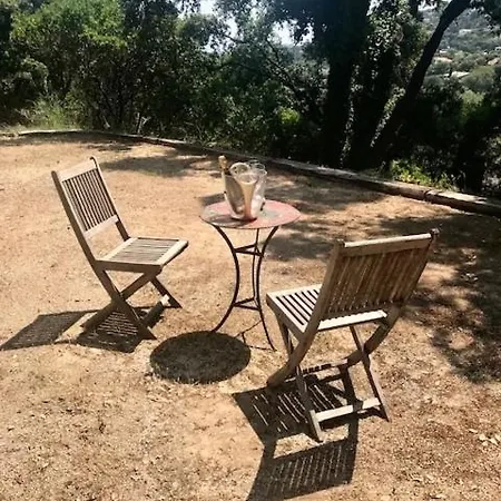 Hirondelles 35 *