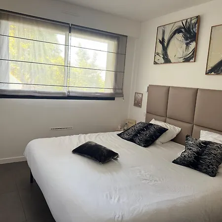 Hirondelles 35 *