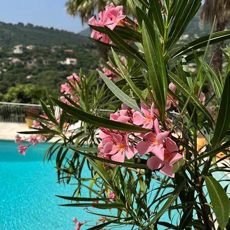 Hirondelles 35 * Cavalaire-sur-Mer