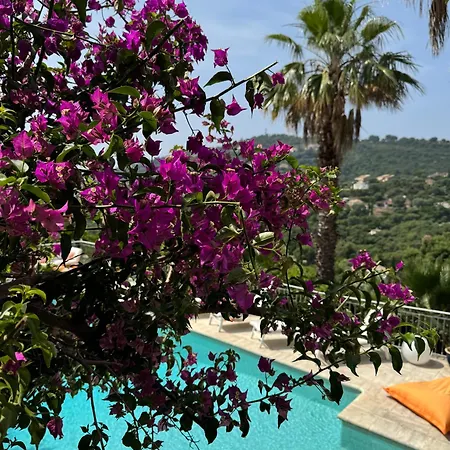 Bed & Breakfast Hirondelles 35 *