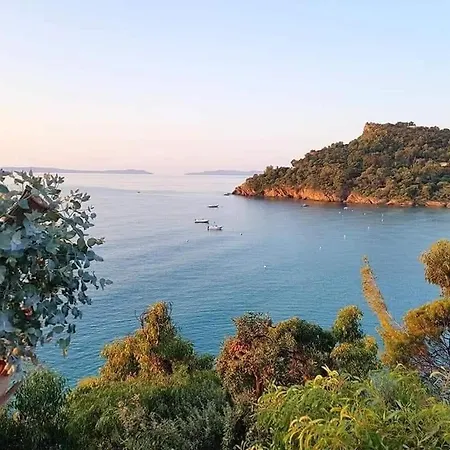 Hirondelles 35 * Cavalaire-sur-Mer