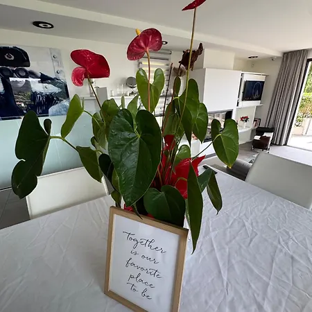 Bed & Breakfast Hirondelles 35 *