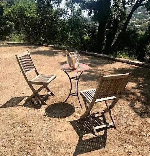 Hirondelles 35 *