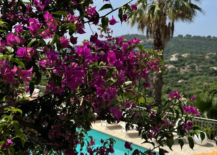 Alojamento de Acomodação e Pequeno-almoço Hirondelles 35 *